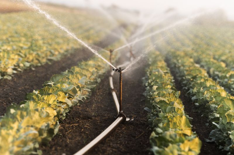 Drip Irrigation Installation