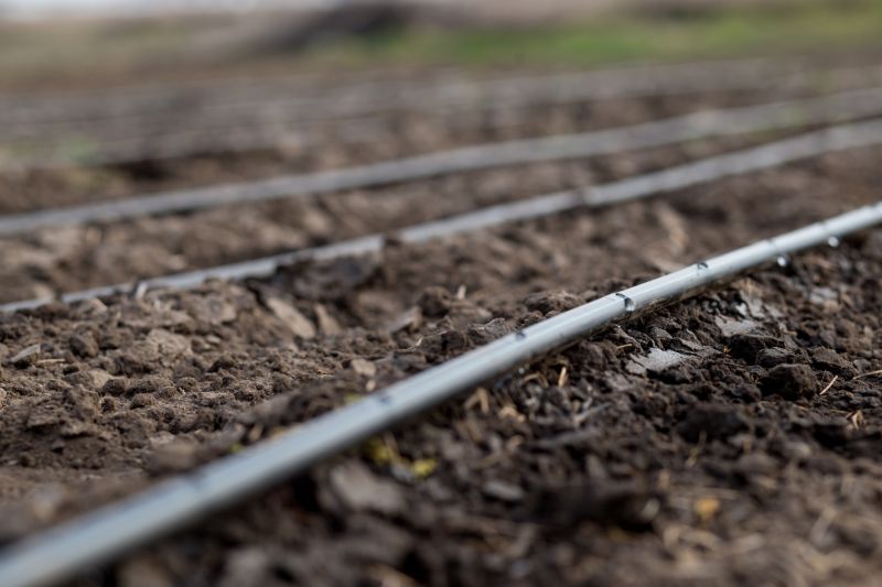 Drip Irrigation Installation