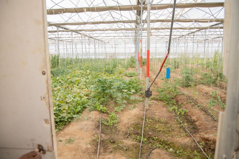 Space-Smart Ideas — Advanced