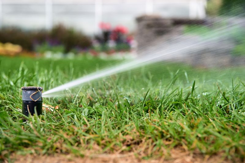 Sprinkler Blowout Service in Carson City, NV