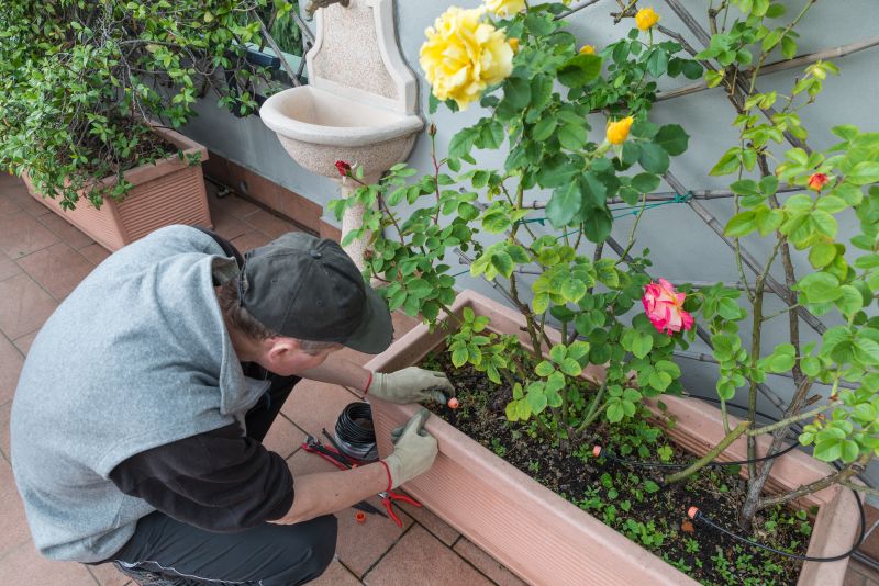 Increase Your Drip Irrigation Installation Business with an AI Driven, Targeted Website